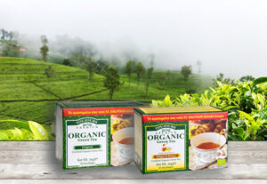 organic green tea_TOUJOURS